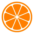 Citrus slice